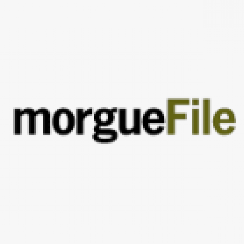 Morgue File