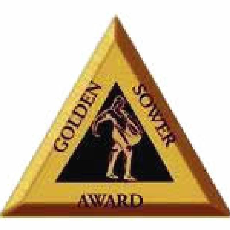 Golden Sower voting